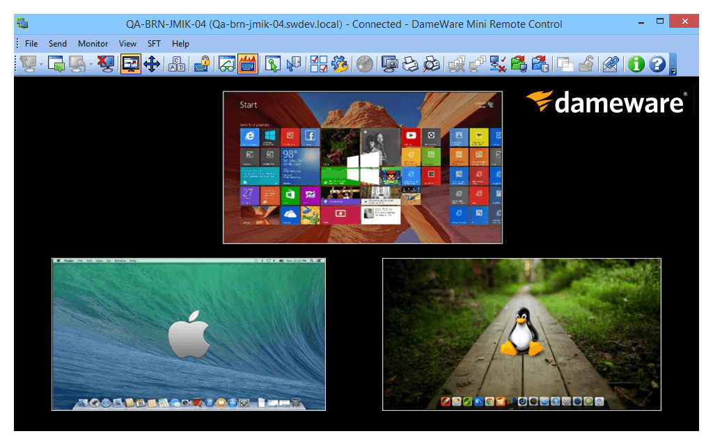grafico Dameware Remote Support v8