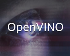 openvino-artifical-aslan2