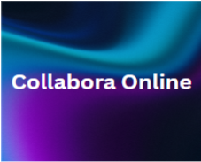 Destacada collabora